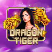 phpgroup Dragon Tiger live casino